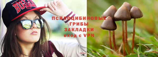 тгк Алексин