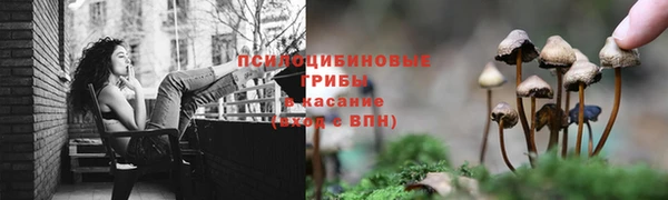 мескалин Алзамай
