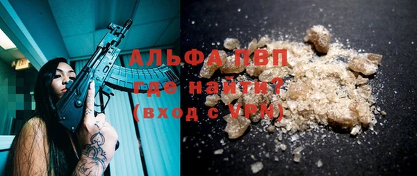 гидра Алексеевка