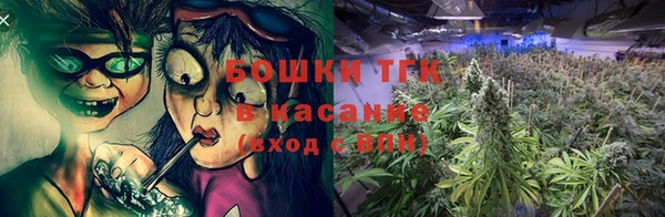 тгк Алексин