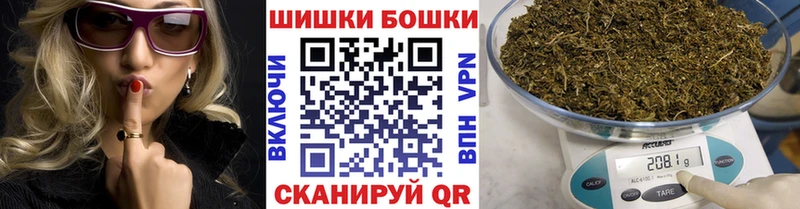 Каннабис планчик  купить наркоту  Железногорск-Илимский 